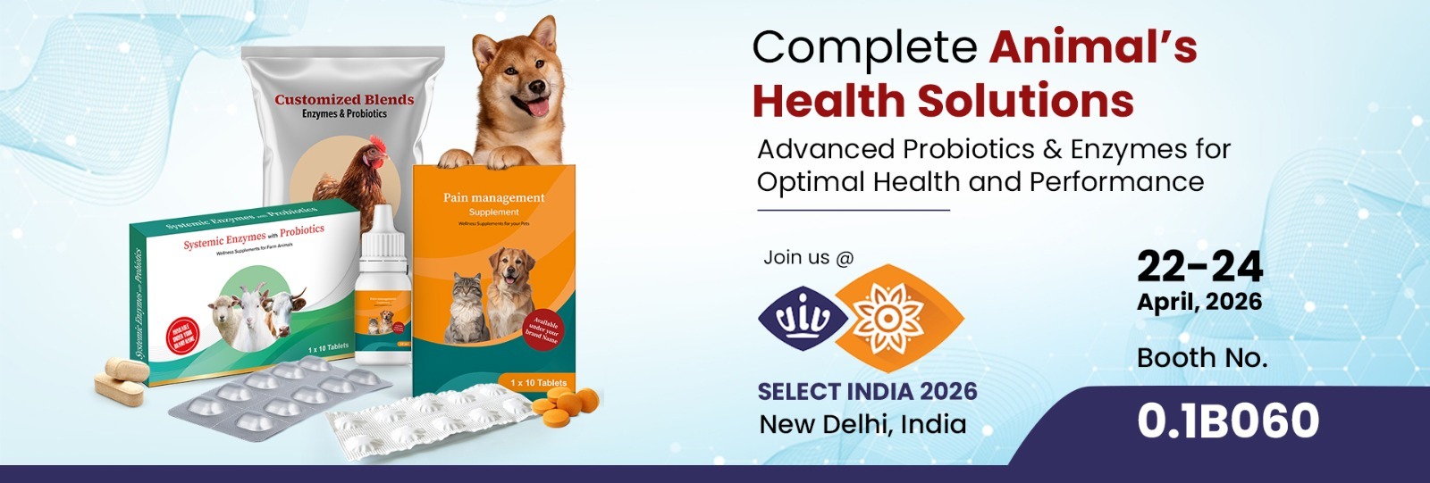 High-Quality Probiotics & Enzymes Finished formulations | Single Strain | Customized Blends