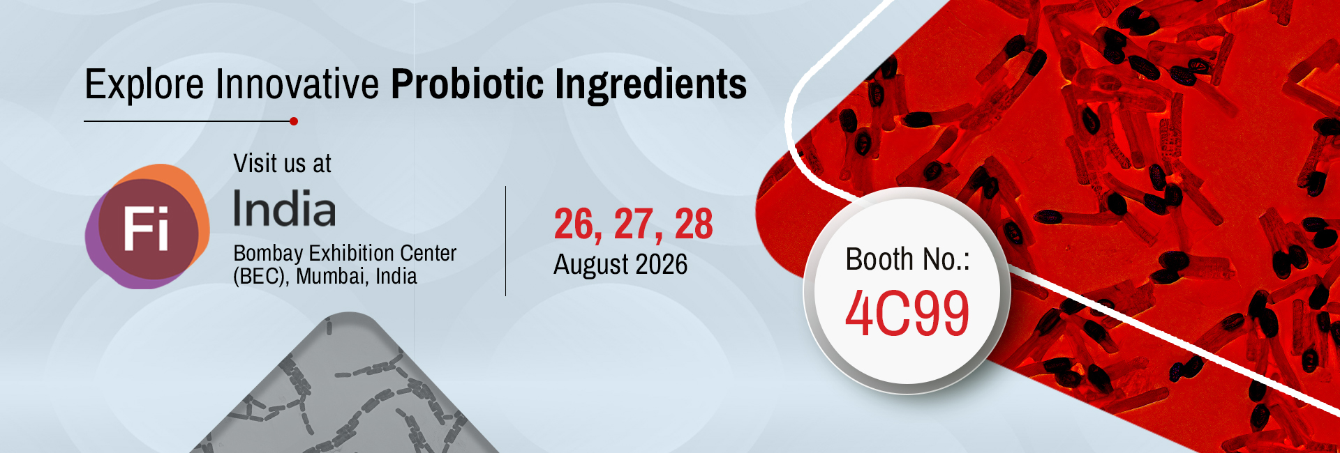 High-Quality Probiotics & Enzymes Finished formulations | Single Strain | Customized Blends